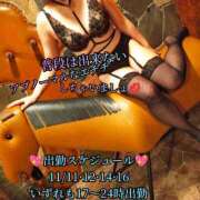 ヒメ日記 2025/11/09 04:03 投稿 羽生 けい Mの世界