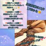 ヒメ日記 2025/12/06 03:03 投稿 羽生 けい Mの世界