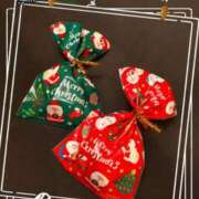 ヒメ日記 2025/12/06 18:34 投稿 羽生 けい Mの世界