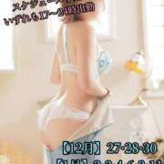 ヒメ日記 2025/12/26 04:03 投稿 羽生 けい Mの世界