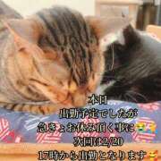 ヒメ日記 2026/02/18 16:33 投稿 羽生 けい Mの世界