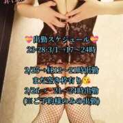 ヒメ日記 2026/02/23 18:09 投稿 羽生 けい Mの世界