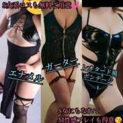 ヒメ日記 2026/03/25 02:03 投稿 羽生 けい Mの世界