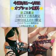 ヒメ日記 2026/04/05 04:03 投稿 羽生 けい Mの世界