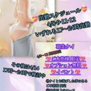 ヒメ日記 2026/04/08 15:20 投稿 羽生 けい Mの世界