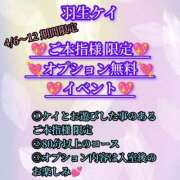 ヒメ日記 2026/04/09 20:20 投稿 羽生 けい Mの世界