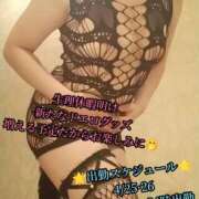 ヒメ日記 2026/04/17 02:12 投稿 羽生 けい Mの世界