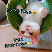 ヒメ日記 2026/04/27 06:09 投稿 羽生 けい Mの世界