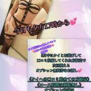 ヒメ日記 2026/05/08 13:33 投稿 羽生 けい Mの世界