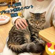 ヒメ日記 2026/05/26 22:49 投稿 羽生 けい Mの世界