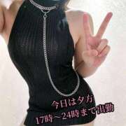 ヒメ日記 2026/06/14 02:03 投稿 羽生 けい Mの世界