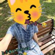 ヒメ日記 2026/07/01 12:34 投稿 羽生 けい Mの世界