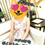 ヒメ日記 2026/08/20 03:20 投稿 羽生 けい Mの世界