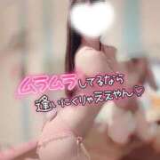 ヒメ日記 2025/12/20 11:56 投稿 もあ マリン宇都宮店