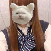 ヒメ日記 2025/07/29 17:59 投稿 チーズ Cawaiiハイ！スクールリターンズ