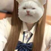 ヒメ日記 2025/08/01 18:19 投稿 チーズ Cawaiiハイ！スクールリターンズ