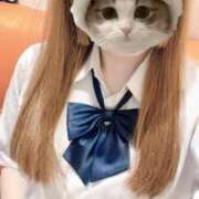 ヒメ日記 2025/08/16 13:10 投稿 チーズ Cawaiiハイ！スクールリターンズ