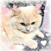 ヒメ日記 2025/10/04 12:03 投稿 チーズ Cawaiiハイ！スクールリターンズ