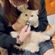 ヒメ日記 2025/11/09 17:32 投稿 チーズ Cawaiiハイ！スクールリターンズ