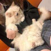 チーズ 今日は長くいるよ🌙 Cawaiiハイ！スクールリターンズ