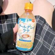 チーズ 今年最後！ Cawaiiハイ！スクールリターンズ