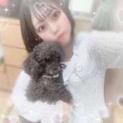 ヒメ日記 2025/05/18 11:29 投稿 もえの G-STAGE