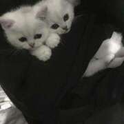 ヒメ日記 2025/08/16 13:00 投稿 もえの G-STAGE