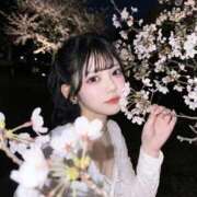 ヒメ日記 2026/04/05 05:09 投稿 もえの G-STAGE