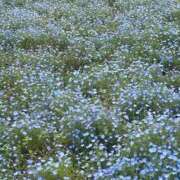 ヒメ日記 2025/05/22 20:31 投稿 リナ エピソード(品川)