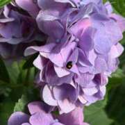 ヒメ日記 2025/06/17 17:31 投稿 リナ エピソード(品川)