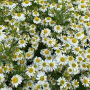 ヒメ日記 2025/07/17 17:46 投稿 リナ エピソード(品川)