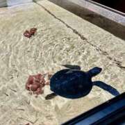 ヒメ日記 2026/01/30 23:16 投稿 リナ エピソード(品川)