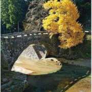 ヒメ日記 2024/12/24 11:43 投稿 ひさこ 熟女総本店 日本橋ミナミエリア店