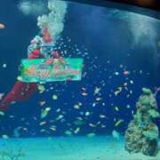 ヒメ日記 2024/12/24 12:02 投稿 ひさこ 熟女総本店 日本橋ミナミエリア店