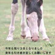 ヒメ日記 2024/12/29 17:40 投稿 ひさこ 熟女総本店 日本橋ミナミエリア店