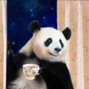 ヒメ日記 2025/01/14 00:42 投稿 ひさこ 熟女総本店 日本橋ミナミエリア店