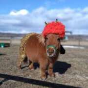 ヒメ日記 2025/02/02 17:59 投稿 ひさこ 熟女総本店 日本橋ミナミエリア店