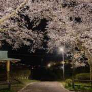 ヒメ日記 2025/04/14 00:46 投稿 ひさこ 熟女総本店 日本橋ミナミエリア店