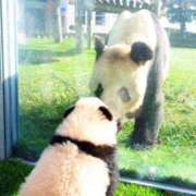 ヒメ日記 2025/04/25 14:56 投稿 ひさこ 熟女総本店 日本橋ミナミエリア店