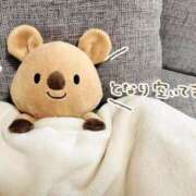 ヒメ日記 2025/04/30 13:26 投稿 ひさこ 熟女総本店 日本橋ミナミエリア店