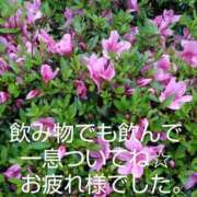 ヒメ日記 2025/05/17 08:16 投稿 ひさこ 熟女総本店 日本橋ミナミエリア店