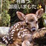 ヒメ日記 2025/05/18 23:56 投稿 ひさこ 熟女総本店 日本橋ミナミエリア店