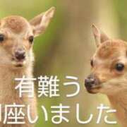 ヒメ日記 2025/05/21 01:28 投稿 ひさこ 熟女総本店 日本橋ミナミエリア店