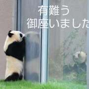 ヒメ日記 2025/05/21 03:36 投稿 ひさこ 熟女総本店 日本橋ミナミエリア店