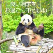 ヒメ日記 2025/05/23 23:36 投稿 ひさこ 熟女総本店 日本橋ミナミエリア店