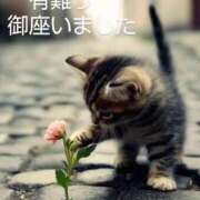 ヒメ日記 2025/05/24 03:02 投稿 ひさこ 熟女総本店 日本橋ミナミエリア店