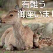 ヒメ日記 2025/05/25 02:46 投稿 ひさこ 熟女総本店 日本橋ミナミエリア店