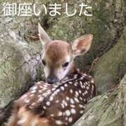 ヒメ日記 2025/05/25 04:26 投稿 ひさこ 熟女総本店 日本橋ミナミエリア店