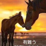 ヒメ日記 2025/05/26 00:46 投稿 ひさこ 熟女総本店 日本橋ミナミエリア店