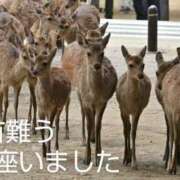 ヒメ日記 2025/05/28 02:56 投稿 ひさこ 熟女総本店 日本橋ミナミエリア店